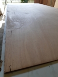 batch_2020-04-11 16.53.43